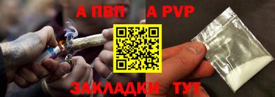 крисы Можга