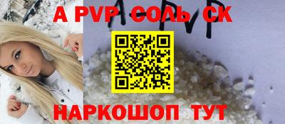 крисы Можга