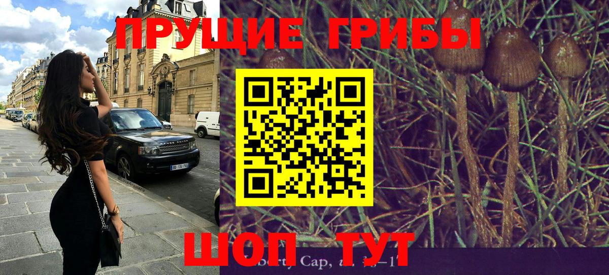 Тихвин  Галлюциногенные грибы Cubensis  Вход с VPN 
